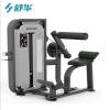 舒华SHUA背肌伸展训练器SH-G6817商用企事业健身房训练器